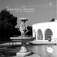 Varios: Luxury Grooves I