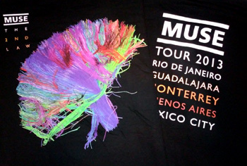 Muse